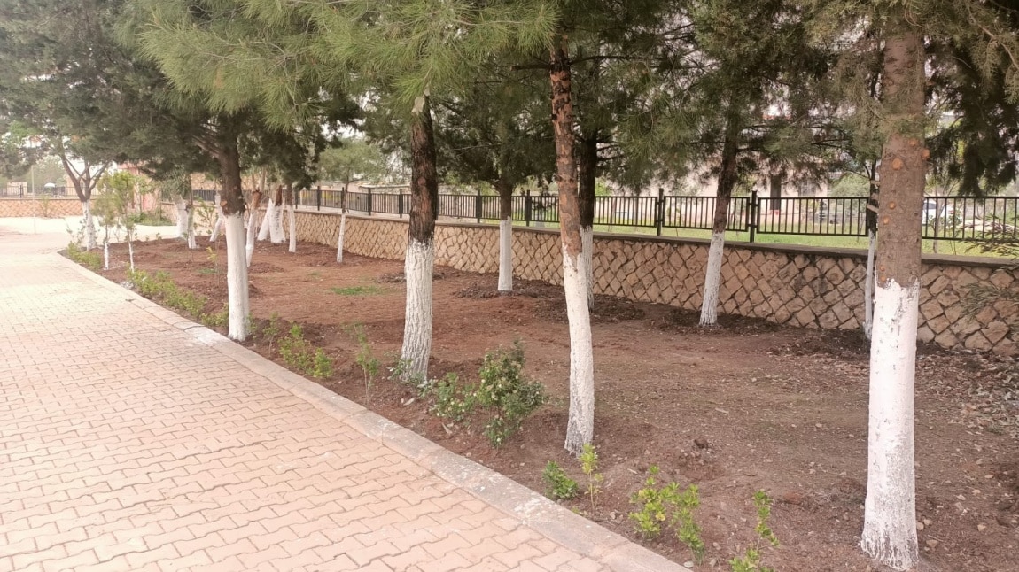 Ağaçlarımızı Elden Geçirdik. . .